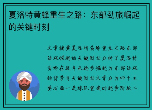 夏洛特黄蜂重生之路:东部劲旅崛起的关键时刻 夏洛特黄蜂重生之路:东部劲旅崛起的关键时刻
